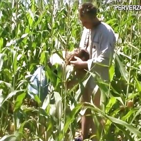 Threesome in the cornfield