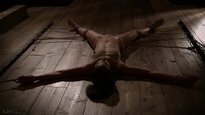 Sweet submissive gets tied up and taken hard