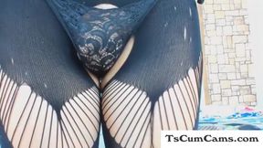 shemale her ass hole on webcam