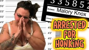 Wrongfully Arrested - I didn't Do It!