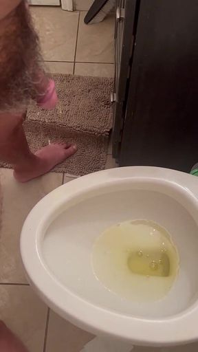 Pissing in the Restroom at Home