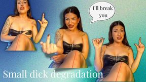 Small Dick Humiliation: I’ll Break You