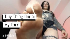 Tiny Thing Under My Toes | Giantess Worship