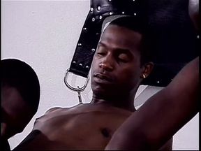 Black stud relaxes on the couch while his hard shaft gets sucked