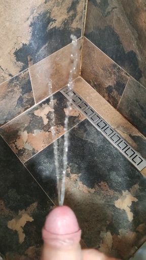 Releasing the python