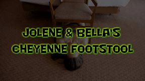 Jolene & Bella's Cheyenne Footstool!