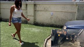 Hoping To Visit My Friend If Not For This Car!