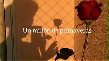 Vicente Fern&aacute_ndez - un millon de primaveras letra