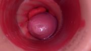 Inside a Camgirl Cervix POV Camera in Vagina with big dick toy