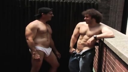 dave steve