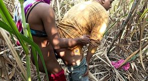 Indian Shemale - Two Truck Drivers and Shemale Pooja Went to the Early This Morning, Sugarcane Field Hard Fucking.