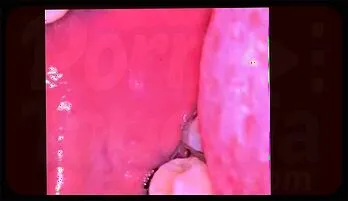 Submissive Seduction: Latina Braces