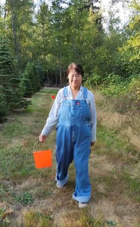Time to Pick Blackberries
