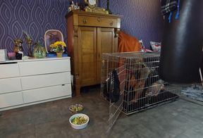 Crush food and feeding My sissiebitch