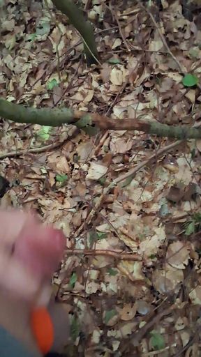 Pressure released in the forest