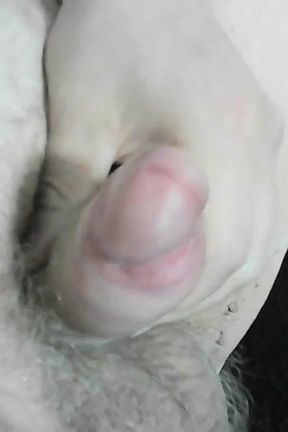 Slow-mo Cumming, Wanking, Jerking, Edging.