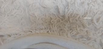 GF Catches Me Rubbing Climbs Under Blanket Smothers Pussy In Face