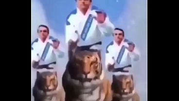 Imposs&iacute_vel n&atilde_o gozar vendo esse v&iacute_deo maravilhoso do Bolsonaro (meme shitpost)