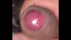 Pekesho1620 - update #10 - B161a47f-21c8-4c25-b994-6c5d46c0ef95 - Feb 21, 2025