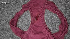 Jerking off on my Best Friends wet Panty