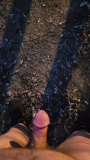 Enjoying a late night walk
