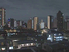 229-season-ending-who-roe