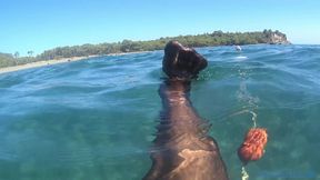 Black Stocking in the Sea
