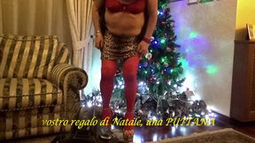 Gio Calda the cow travesta