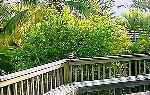 [remastered] double d reunion, scene