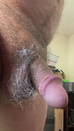 Male Penis and Balls