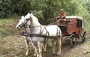 Cacciatori di taglie