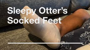 Sleepy Otter’s Feet from Socked to Bare!