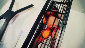 Sexy MILFs Mai Bailey and Krystal Webb go down on each other in a lesbian