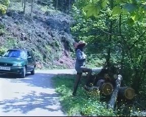 Pension Almrausch Part 1