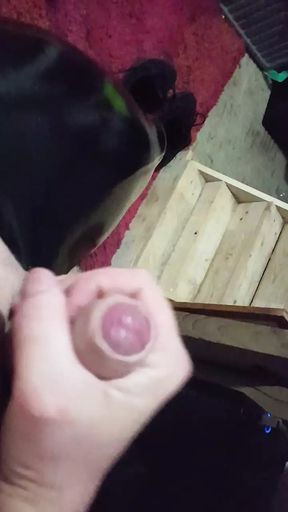 Masturbation in shiny skin tight pants
