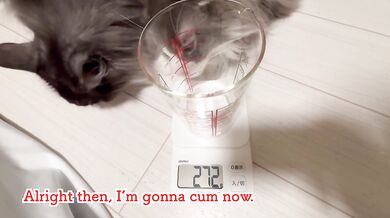 【手コキフェラ】君は一体何gの精子を射精するのか？