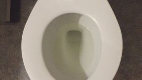 I PISS GOLD FOOT FETISH SLIPPERS