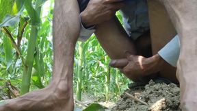 Outdoor POV Nature Scene  Real Field Setup  Crystal Clear 1080p