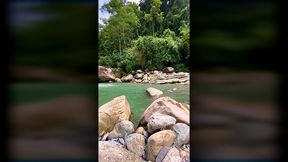 ts angelique monroe - a horny morning in the rainforest.