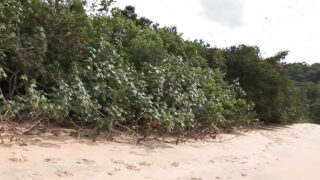 Pancutan mani, tanpa baju – pelacur gay dicumbu di punggung