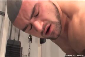 Humping Iron
