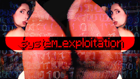 system_exploitation