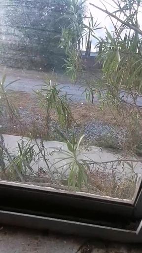 My legs with stockings