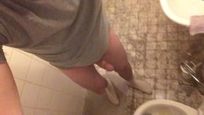 Jerking in the Toilet