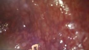 Tiny Adventurer explores Giantess MXDominion’s Ass Canyon 4k