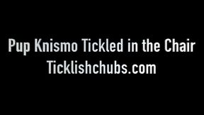 Pup Knismo Tickled