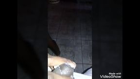 Trinidad indian cock