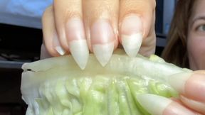 Nail Goddess destroying nipples with natural nails