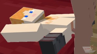 Minecraft Porn Parody, A
