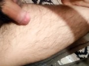 Chacal mexicano se saca la leche en el suelo de su cuarto